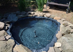 IMG_20220615_144537967_HDR