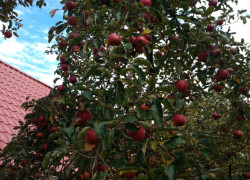 IMG_20221016_134101600