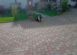 IMG_20221016_125655720