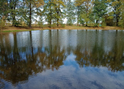 IMG_20221016_132448147