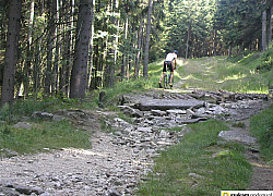 Trasy rowerowe Góry Kaczawskie  | fot. Tenet