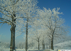 Zima w Górach Kaczawskich  | fot. Tenet